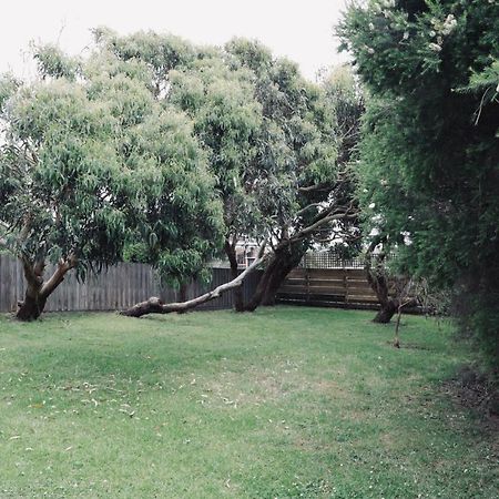 Red Ceder Cottage - Great Ocean Road - พอร์ตแคมป์เบลล์ ภายนอก รูปภาพ
